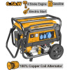 Бензиновый генератор 220В 6,5 кВт INGCO GE65006 INDUSTRIAL