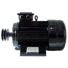 Компрессорный двигатель EN-55/3