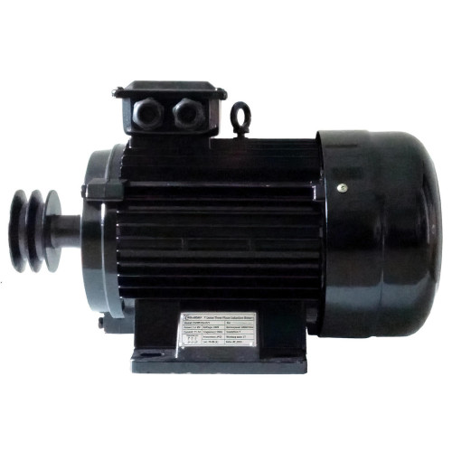 Компрессорный двигатель EN-55/3