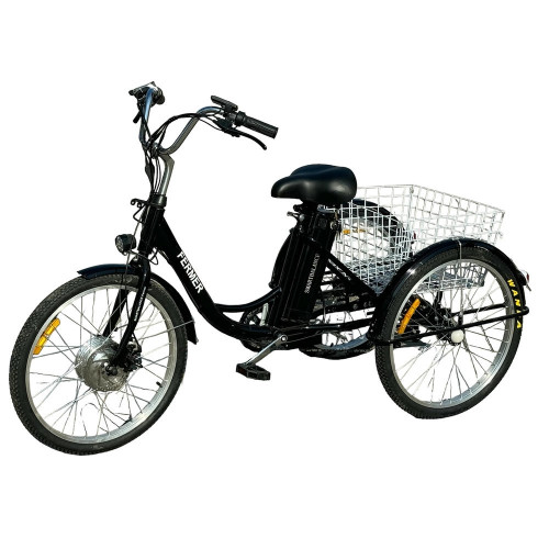 Трехколесный электровелосипед SmartBalance Fermer