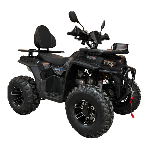 Квадроцикл SmartBalance Patrul 200